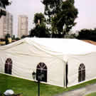 Plants: image 1 0f 4 thumb