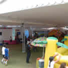 Plants: image 1 0f 4 thumb