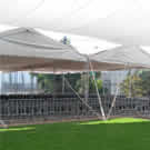 Plants: image 1 0f 4 thumb