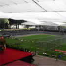 Plants: image 1 0f 4 thumb