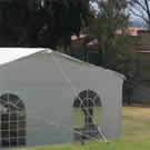 Plants: image 1 0f 4 thumb