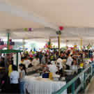 Plants: image 1 0f 4 thumb