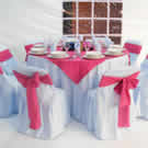 Plants: image 1 0f 4 thumb