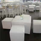 Plants: image 1 0f 4 thumb